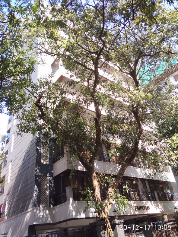 Main - Emporis, Bandra West
